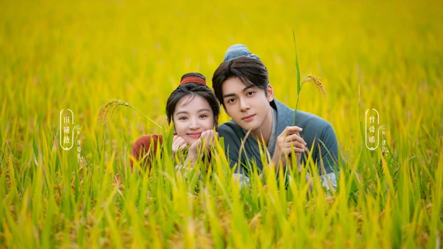 Romance on the Farm: Experience the Magic of New Cdrama Themes