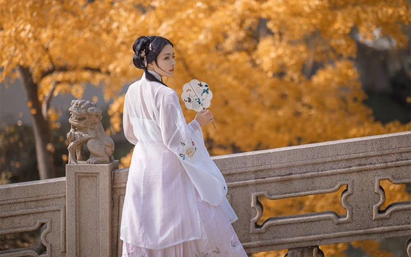 How to Wear Hanfu: Covers Most Hanfu Styles - Updating-13