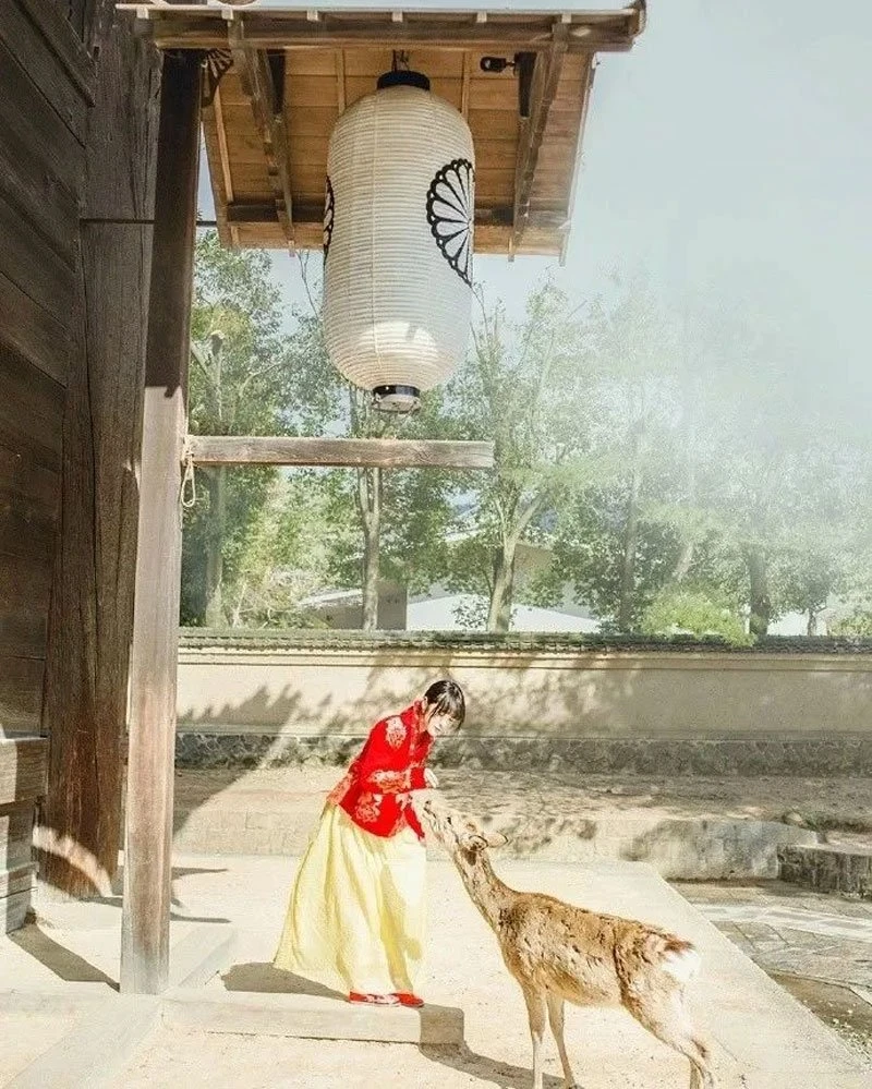 Do You Want Wear Hanfu Travel Around the World?-13