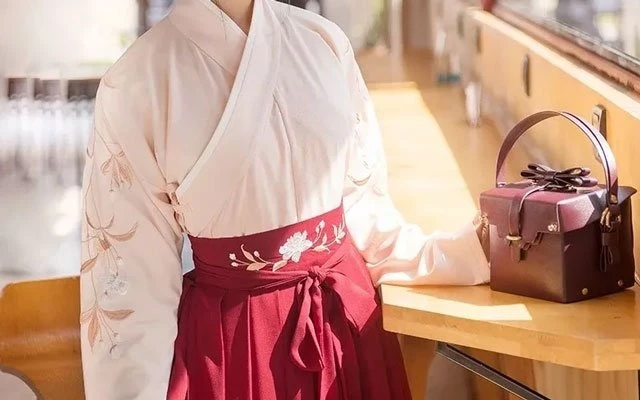 How to Choose a Suitable Hanfu - Girl's Clothes Guide-3