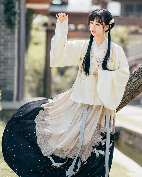 What is the Ming Dynasty Hanfu Clothing?-9