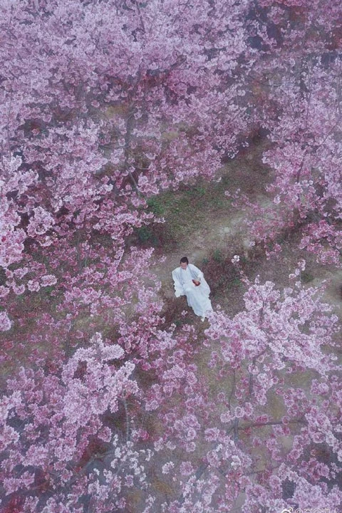 A Man Wearing Hanfu Traveling the World at Large for 6 Year-32