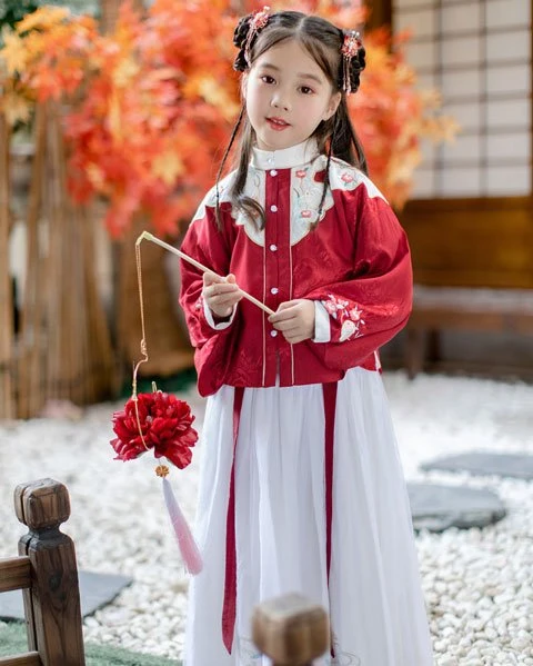 6 Easily Confused Hanfu Costume Structures-8