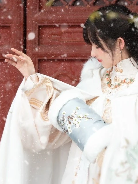 5 Hanfu Accessories for the Cold Winter - Warm & Adorable-7