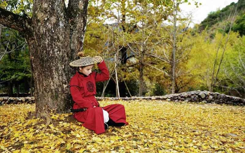 Hanfu Complete Your Kungfu Dream