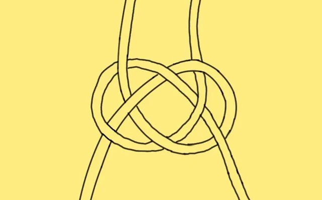 12 Different Types of Chinese Knots and Their Significance-21