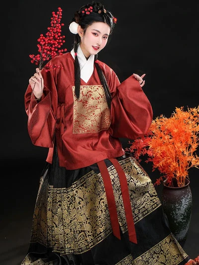 5 Kind of Beauty Traditional Chinese Clothing for Female-32