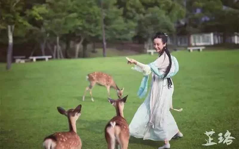 Wearing as an angel: Chinese Hanfu in Japan-1