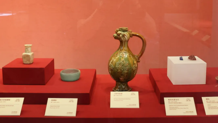 Chang'an Chronicles: Rediscovering Ancient Relics on the Silk Road-13