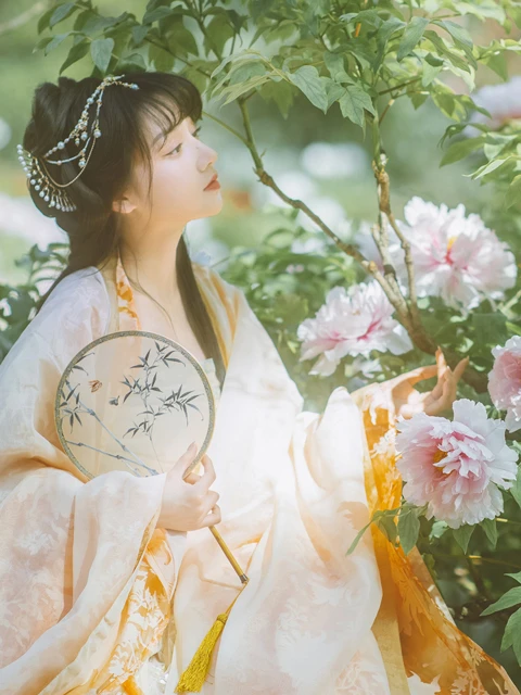 The Evolution of Spring Hanfu Attire Across Dynasties-4