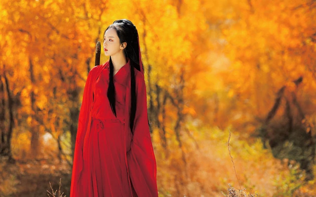 Exploring the Allegory of Chinese Color Theory in Traditional Dress-12