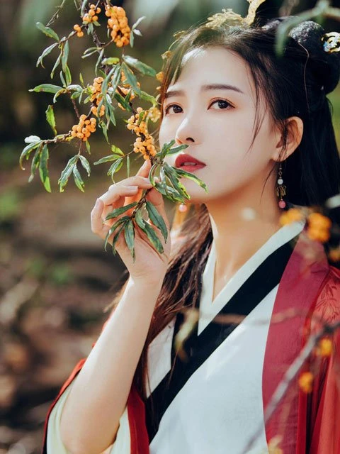 The Cultural Code of Modern Chinese Hanfu Clothing-1