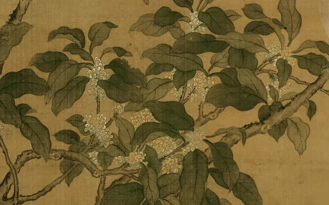 How Did Osmanthus Fit Into the Life of the Ancients?-4