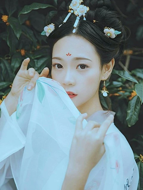 Huadian - A Special Hanfu Makeup for Female-14