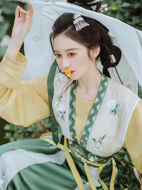 From Dynasties to Daily Wear: The Resurgence of Hanfu Fashion-1