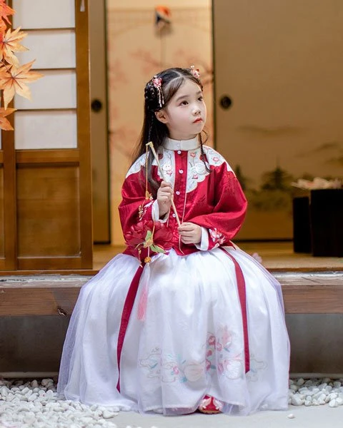 6 Easily Confused Hanfu Costume Structures-7