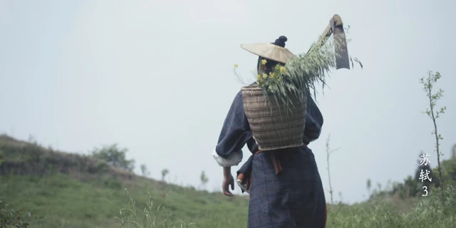 Exploring the Chinese Documentary Eminent Figures Through the Ages and the Su Shi-17