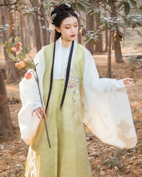 Chinese Girl Costume - Get your Hanfu Highlight Moment-14