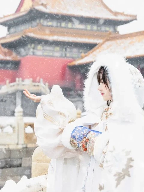 5 Hanfu Accessories for the Cold Winter - Warm & Adorable-8