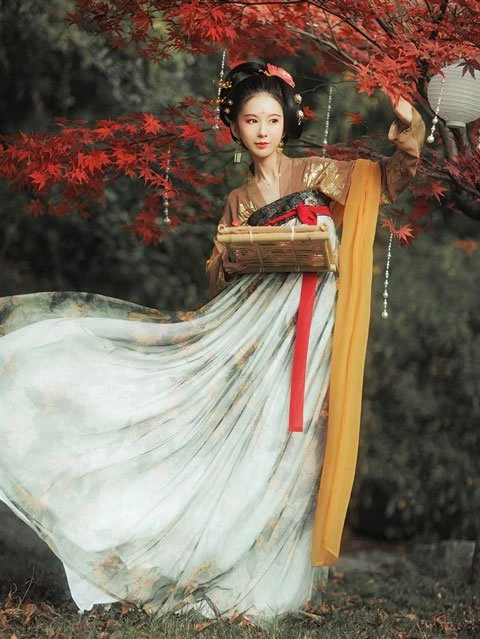 Ancient Chinese Fashion: Historical Prototype of Hanfu Style-11