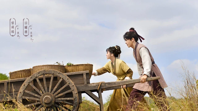 Romance on the Farm: Experience the Magic of New Cdrama Themes-3