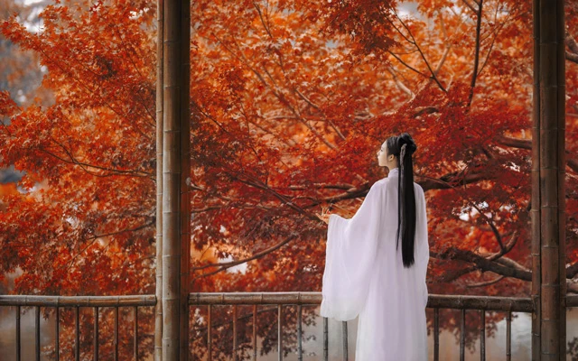 Autumn Chinese Clothing Hanfu Style-8