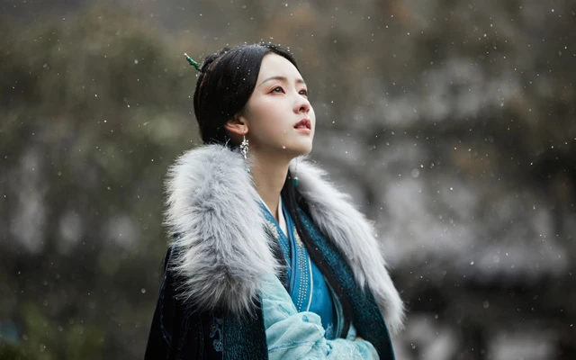 The Changing Importance of Supporting Roles in Chinese Dramas-8