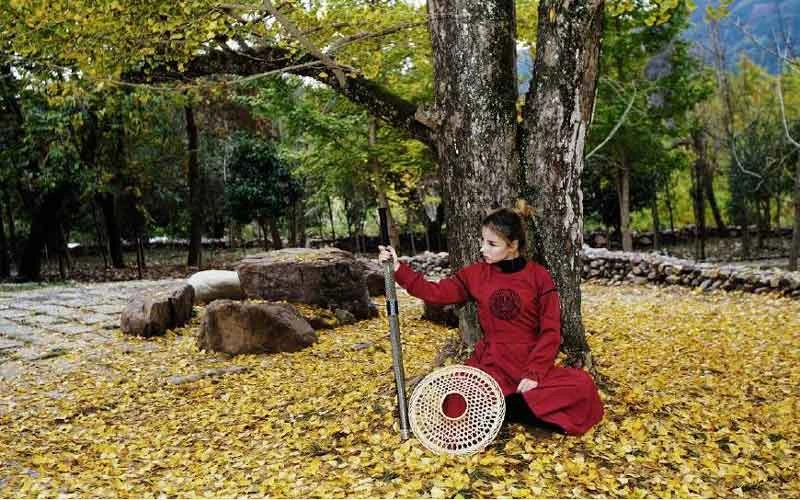 Hanfu Complete Your Kungfu Dream-2