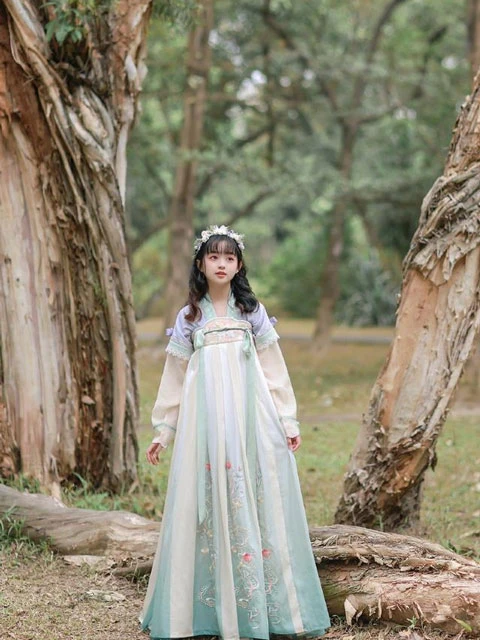 4 Stunning Tang Style Hanfu for Women That Look Pretty-8