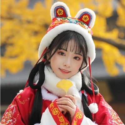 The Origin and Meaning of the Tiger Hat - Chinese Traditional Children's Clothing-11