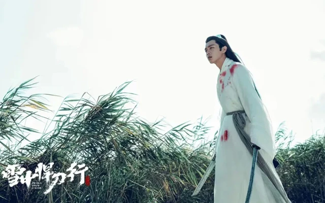 The Unique Spirit of Martial Arts in Sword Snow Stride-3