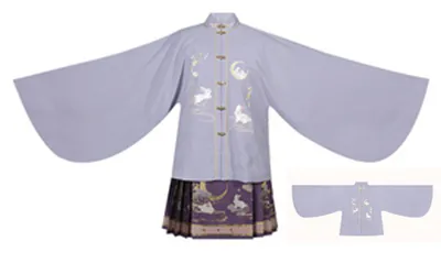 8 Style Of Hanfu Sleeves: Explore The Charm Of Ancient Chinese Clothing-6