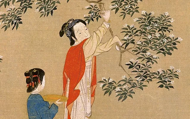 How Did Osmanthus Fit Into the Life of the Ancients?-11