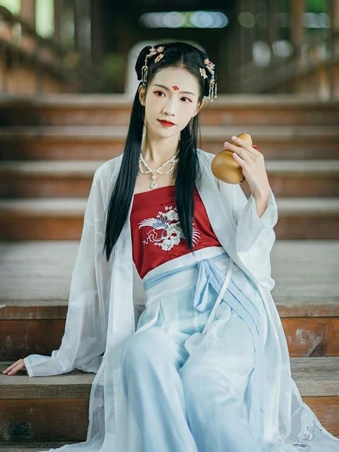 Beauty Oriental Style Top - Fashion from Song Dynasty-3