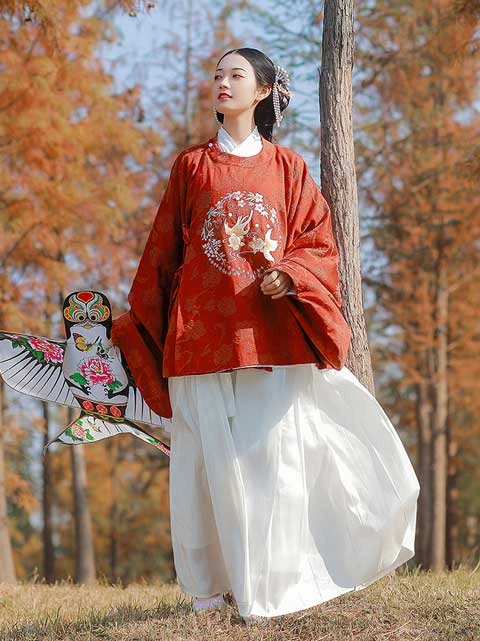 Chinese Fashion - Wear Hanfu with Auspicious Patterns-10