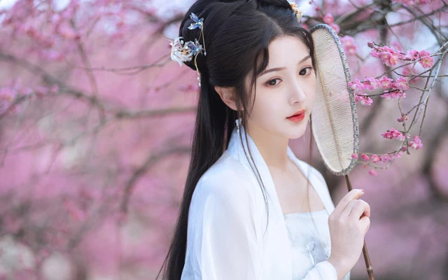 Modern Hanfu Promotion: Discussion on Challenges and Controversies-11