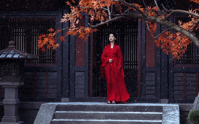 Exploring Revenge and Rebirth Themes in Chinese Costume Dramas-2