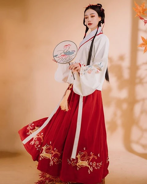 Different Kinds of Sleeves in Hanfu-4