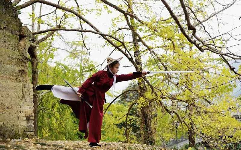 Hanfu Complete Your Kungfu Dream-6