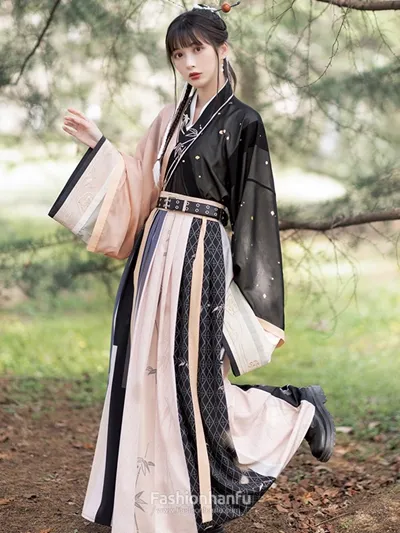 19 Kinds Of Classic Hanfu Of Various Dynasties In China-12