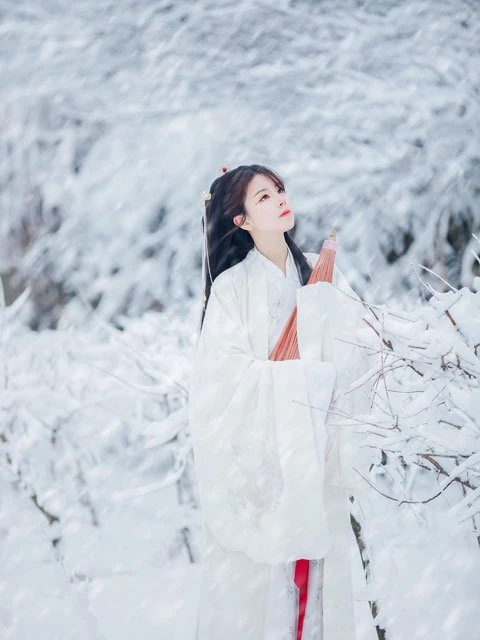 Why Ming Dynasty Hanfu Appropriate for Winter Wear?-7