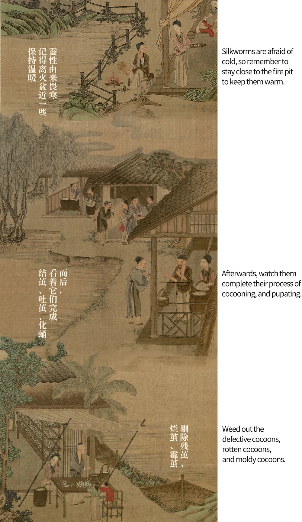 A Long Painting about Chinese Silk Production-6