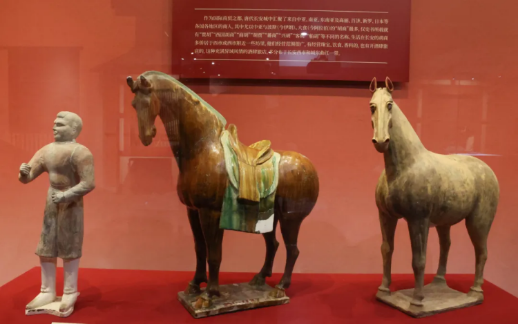 Chang'an Chronicles: Rediscovering Ancient Relics on the Silk Road-12