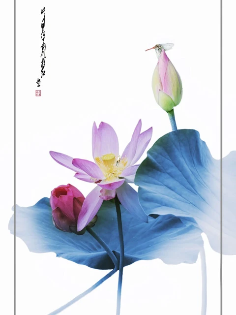 A Brief History of the Lotus Pattern in Traditional Chinese Culture-9