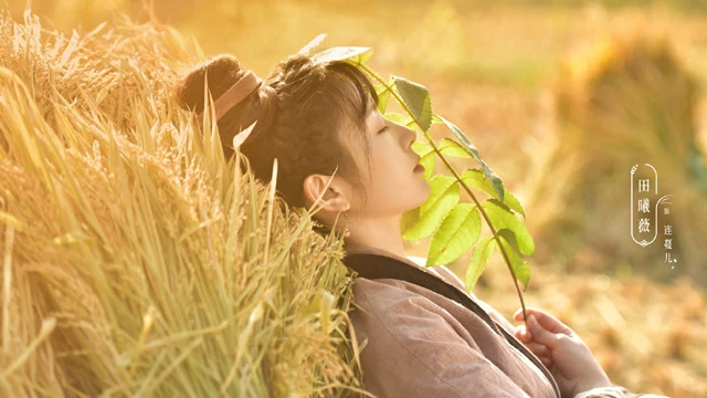 Romance on the Farm: Experience the Magic of New Cdrama Themes-5