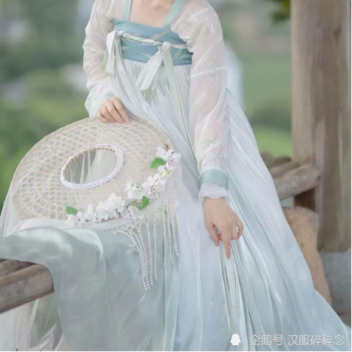 Tang Dynasty Hanfu VS Ming Dynasty Hanfu: A Contest of Tradition and Innovation-1