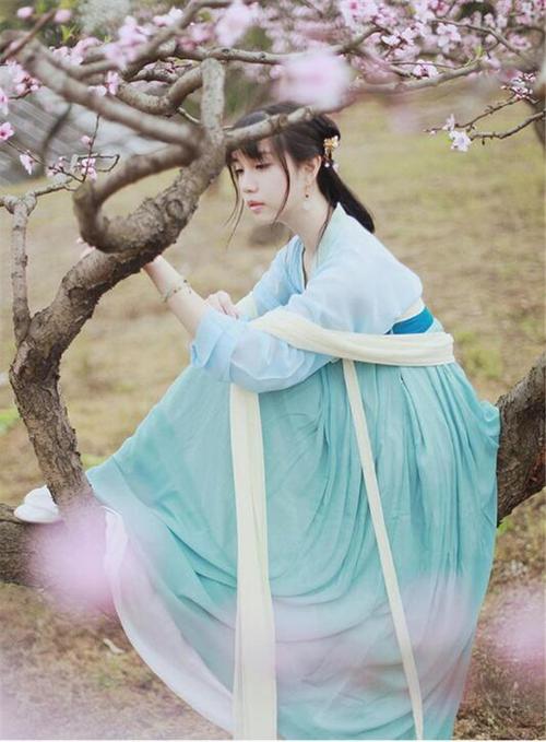 Hanfu, Traditional Han Chinese Clothing, and Everyday Wear-3