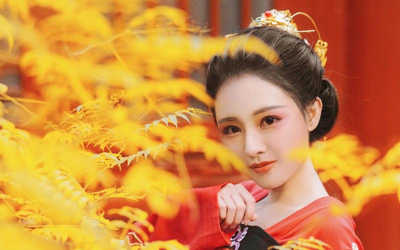 Hanfu in Traditional Chinese Clothing Style with Plum Blossoms, Special Effects Images of Butterflies and Plum Blossoms in Traditional Chinese Clothing-3