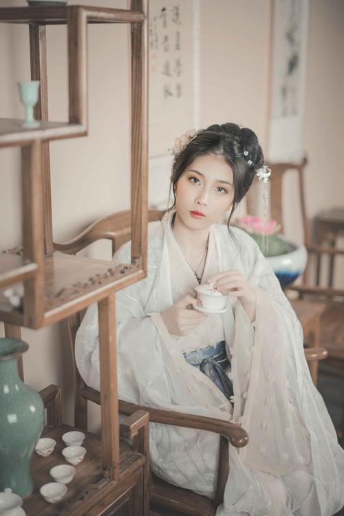 Winter Hanfu Recommendations: Complete Set-1