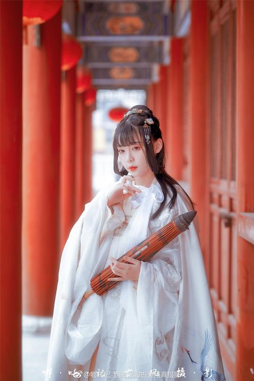 Differences Between Traditional Hanfu and Ancient Costumes, and the Distinctions Between Hanfu and Ancient Costumes-3